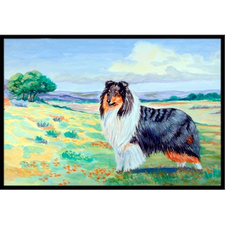 Carolines Treasures 18 x 27 in. Collie Indoor Outdoor Mat 7140MAT
